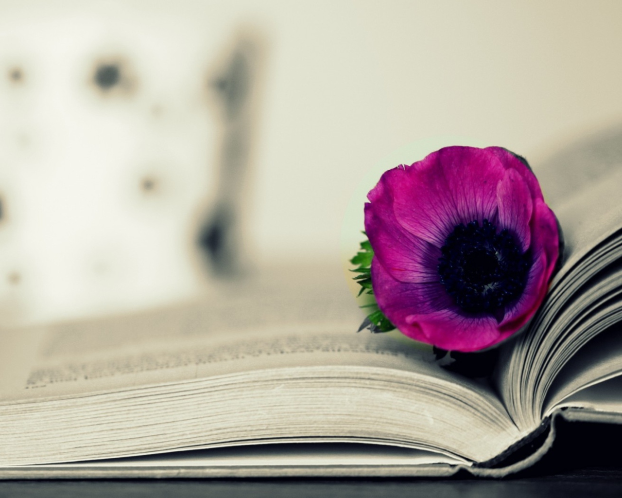 Purple Flower On Open Book screenshot #1 1280x1024