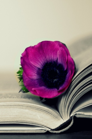 Обои Purple Flower On Open Book 320x480