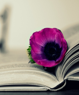 Purple Flower On Open Book - Obrázkek zdarma pro 132x176