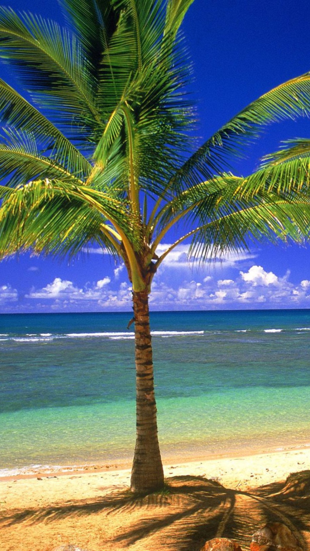 Das Tropical Lagoon Wallpaper 640x1136