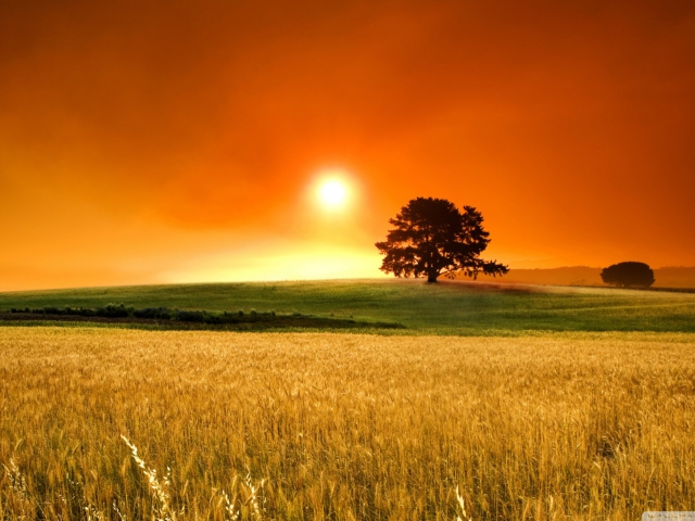 Summer Sunset screenshot #1 640x480