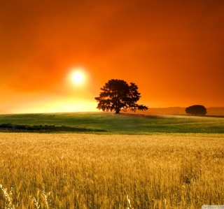Summer Sunset - Obrázkek zdarma pro iPad mini 2