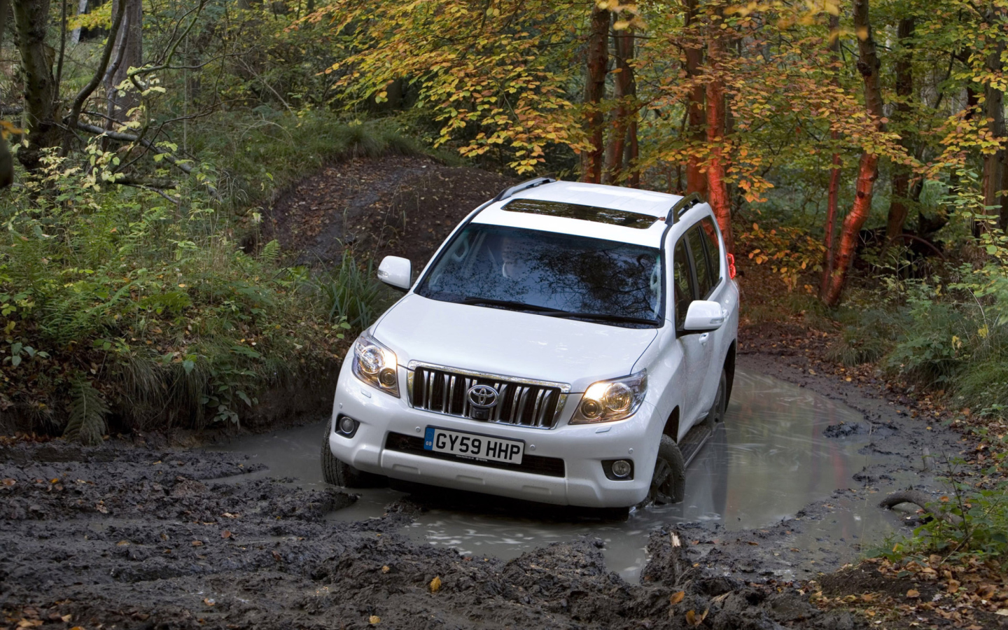 Das Toyota Land Cruiser Prado Wallpaper 1440x900