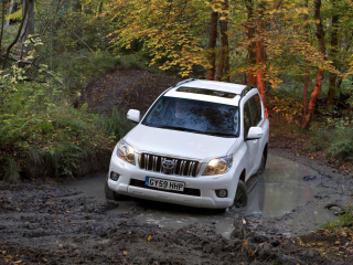 Fondo de pantalla Toyota Land Cruiser Prado 320x240