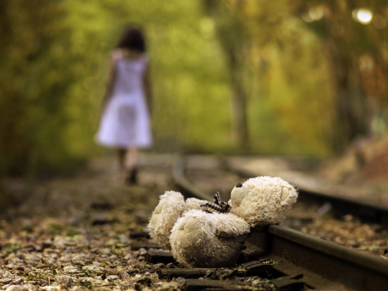 Poor Forgotten Teddy Bear wallpaper 800x600