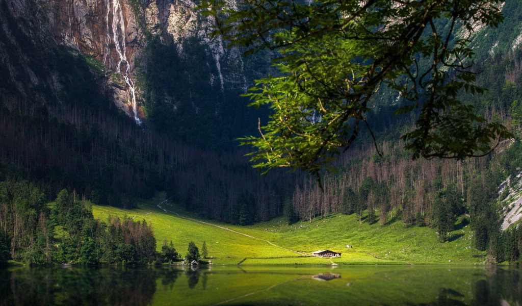 Bavarian Alps and Forest wallpaper 1024x600