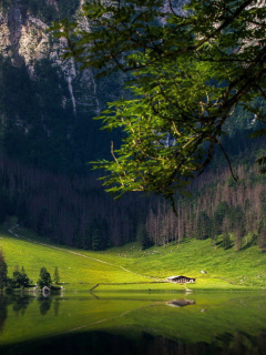Screenshot №1 pro téma Bavarian Alps and Forest 240x320