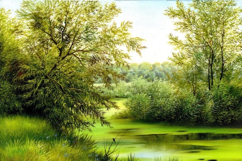 Das Nature, Painting, Canvas Wallpaper 480x320