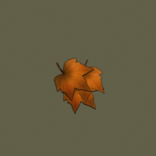 Autumn Wallpaper - Obrázkek zdarma pro 2048x2048