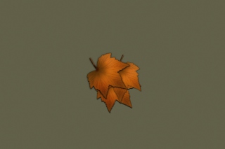 Autumn Wallpaper - Obrázkek zdarma pro HTC Desire HD