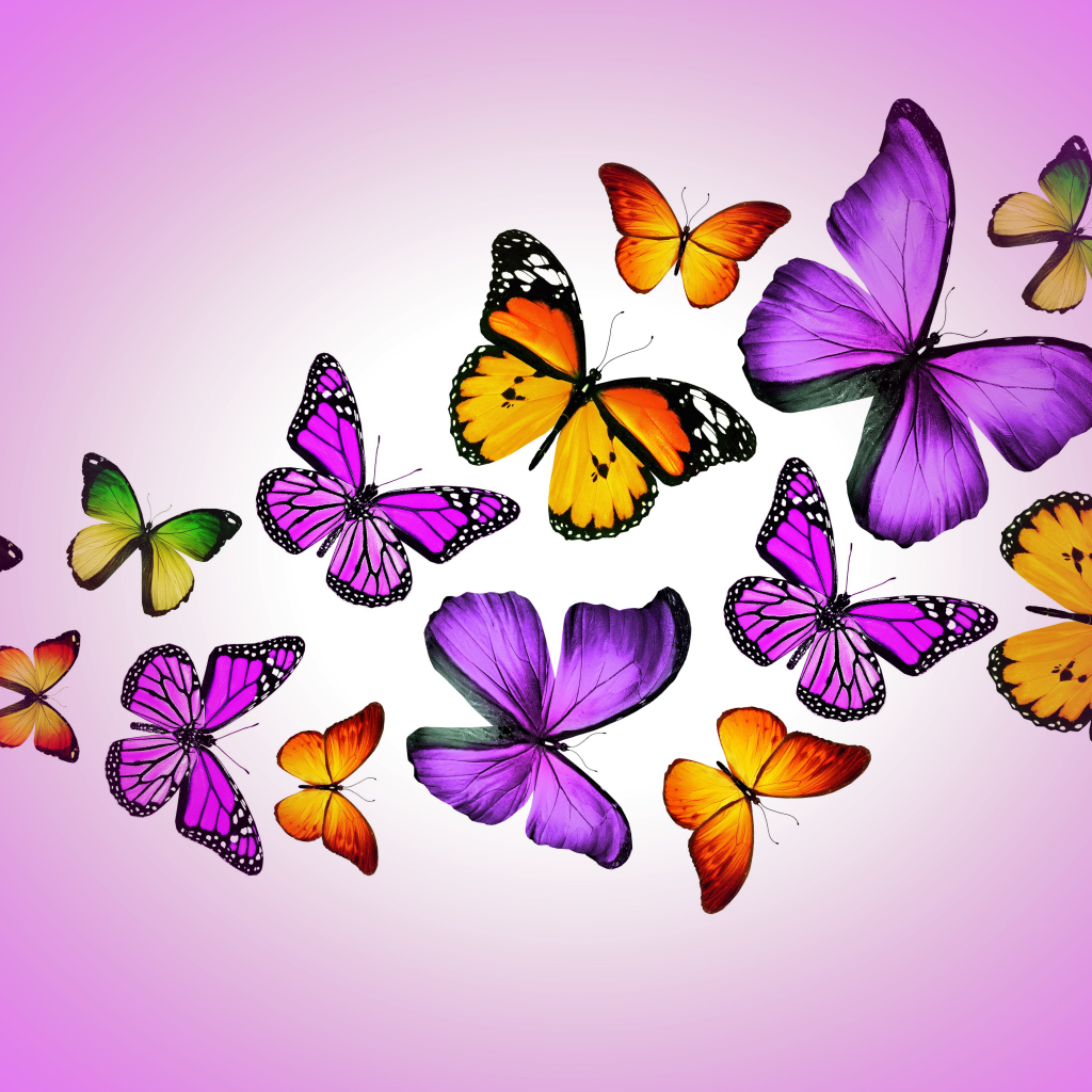 Screenshot №1 pro téma Orange And Purple Butterflies 1024x1024