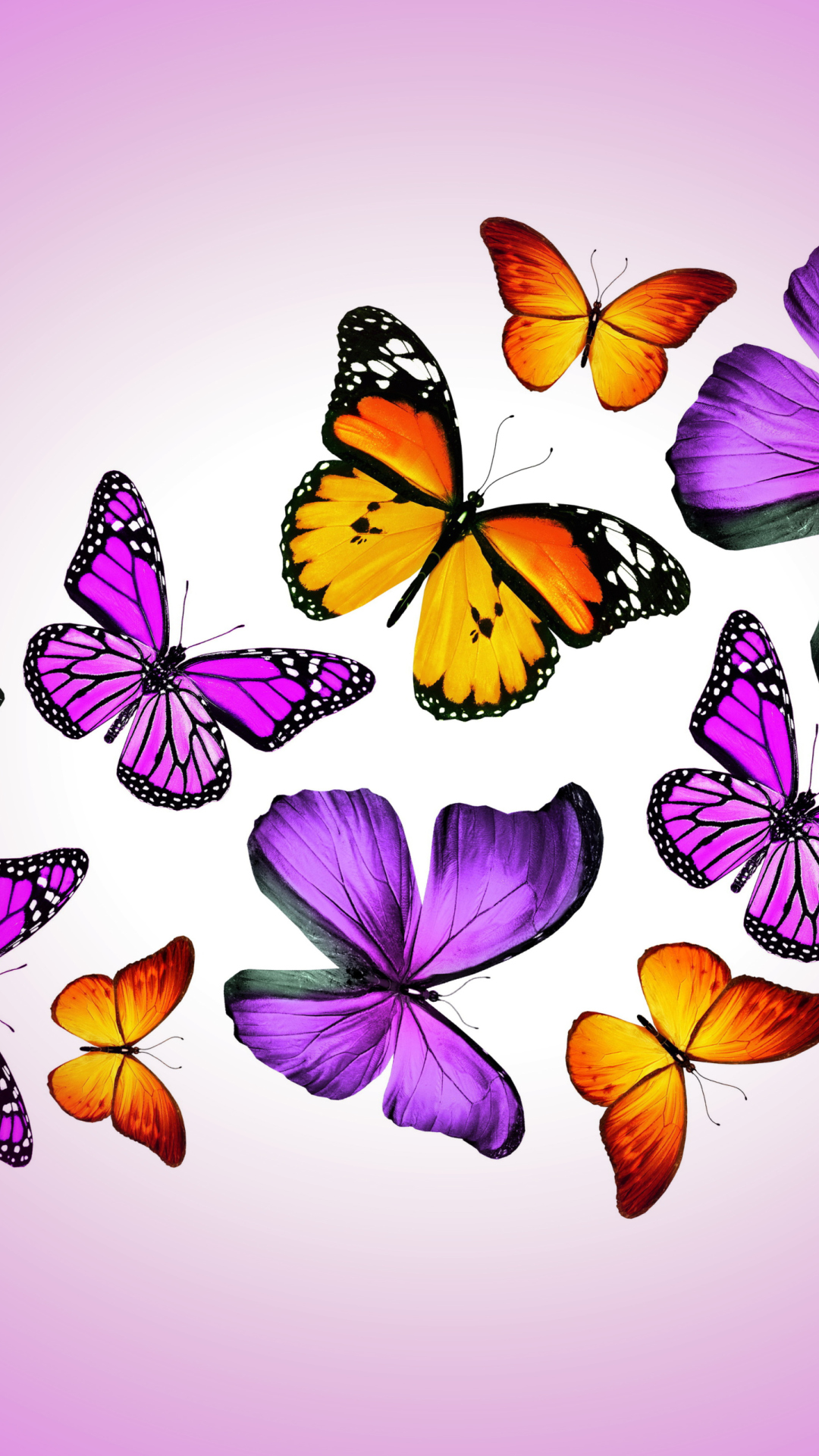 Fondo de pantalla Orange And Purple Butterflies 1080x1920
