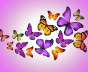 Screenshot №1 pro téma Orange And Purple Butterflies 176x144