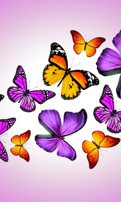 Das Orange And Purple Butterflies Wallpaper 240x400