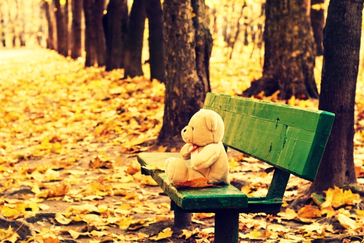 Sfondi Teddy Bear Forgotten On Bench