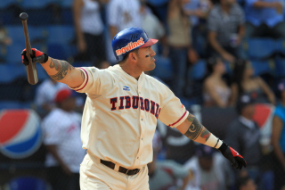 Tiburones Baseball - Obrázkek zdarma pro 1366x768