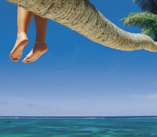 Sitting On Palm Tree Above Ocean - Obrázkek zdarma pro iPad