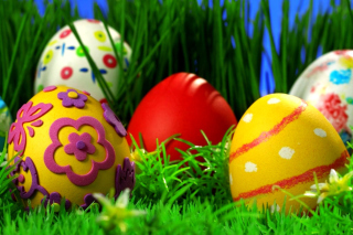 Happy Easter - Obrázkek zdarma pro 480x400