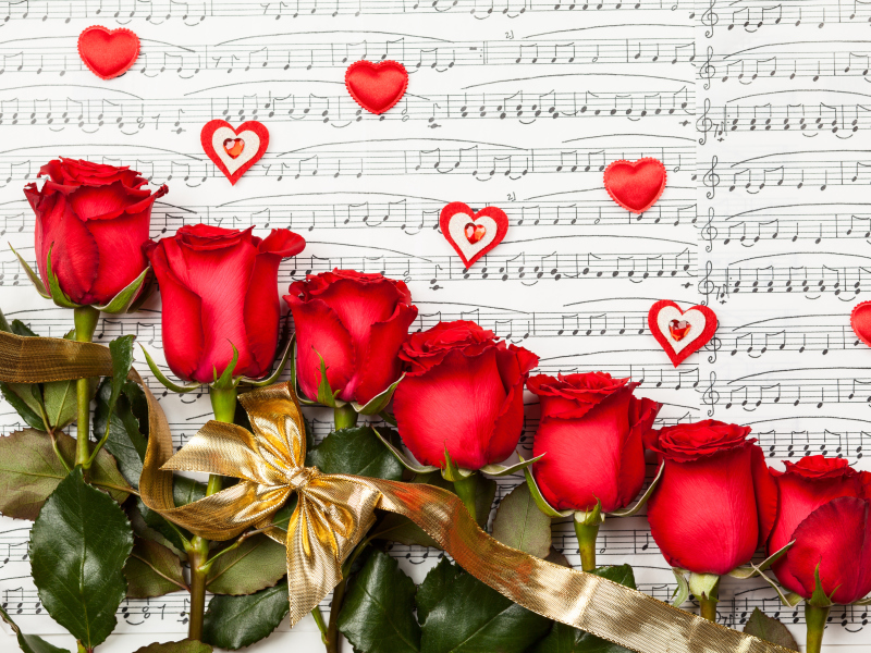 Fondo de pantalla Roses, Love And Music 800x600