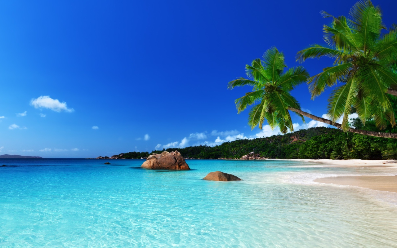 Обои Tropical Paradise 1280x800