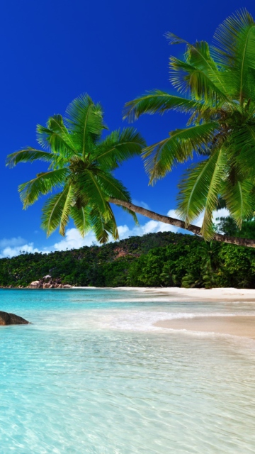 Das Tropical Paradise Wallpaper 360x640