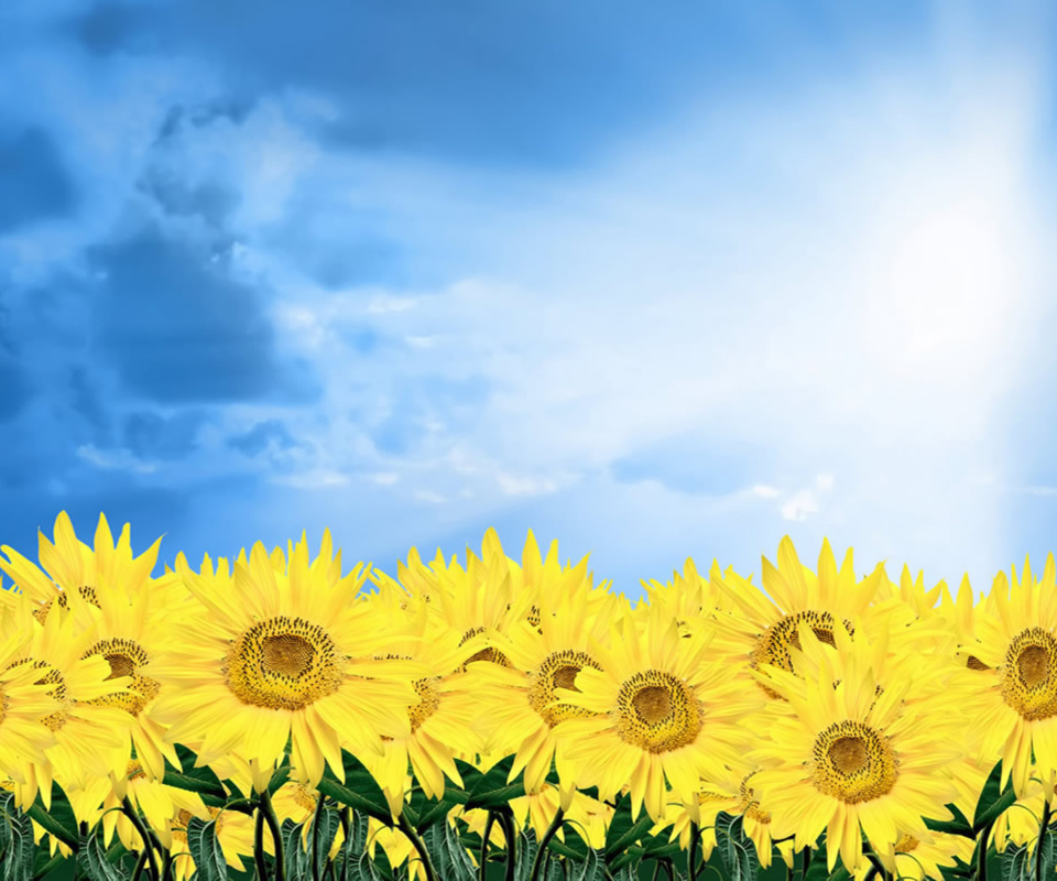Sunflowers screenshot #1 960x800