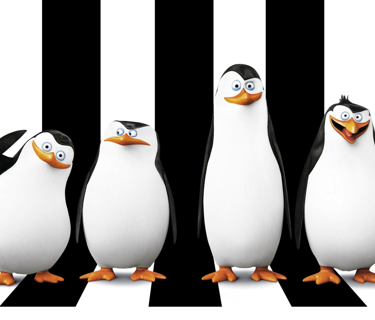 Обои Penguins Madagascar 1200x1024