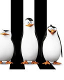 Fondo de pantalla Penguins Madagascar 128x160