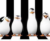 Обои Penguins Madagascar 176x144