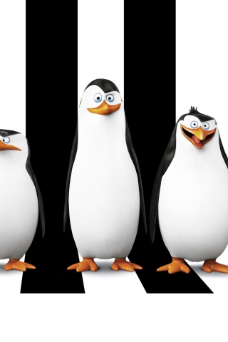 Обои Penguins Madagascar 320x480