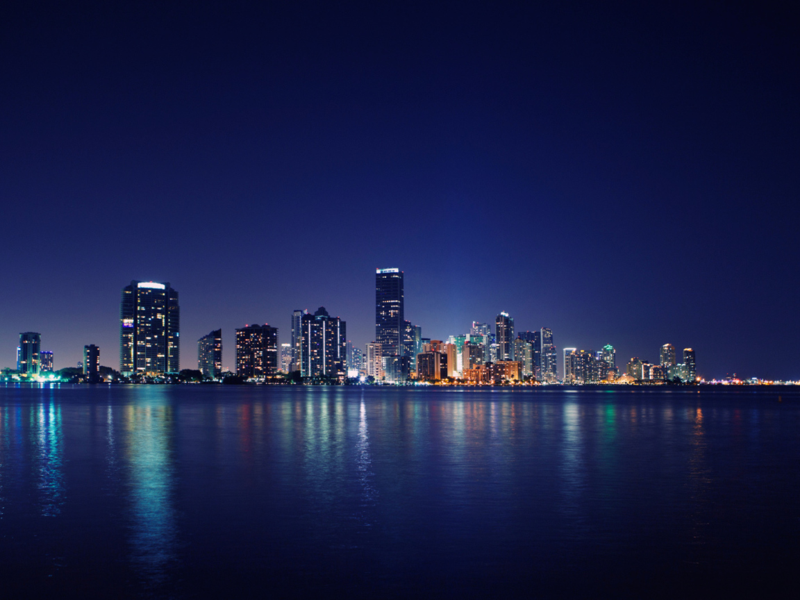 Screenshot №1 pro téma Miami Skyline Night 1152x864