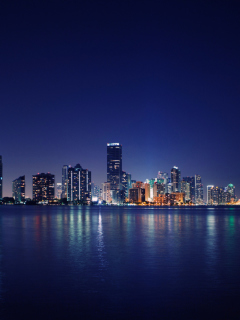 Das Miami Skyline Night Wallpaper 240x320