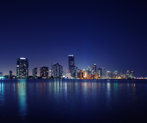 Miami Skyline Night screenshot #1 480x400