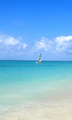 Screenshot №1 pro téma Sailing In Paradise 240x400