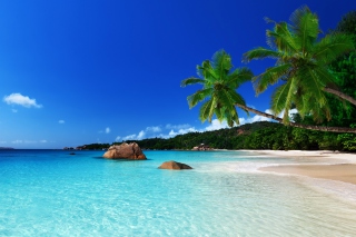 Orange Bay Jamaica - Obrázkek zdarma pro Fullscreen Desktop 800x600