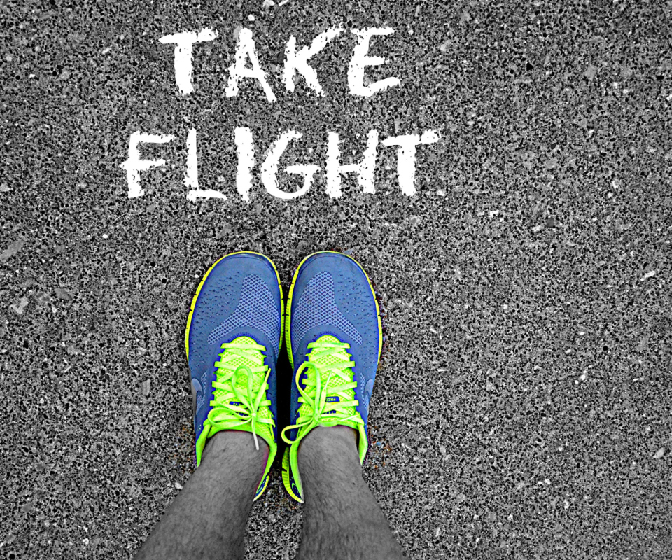 Take Flight wallpaper 960x800