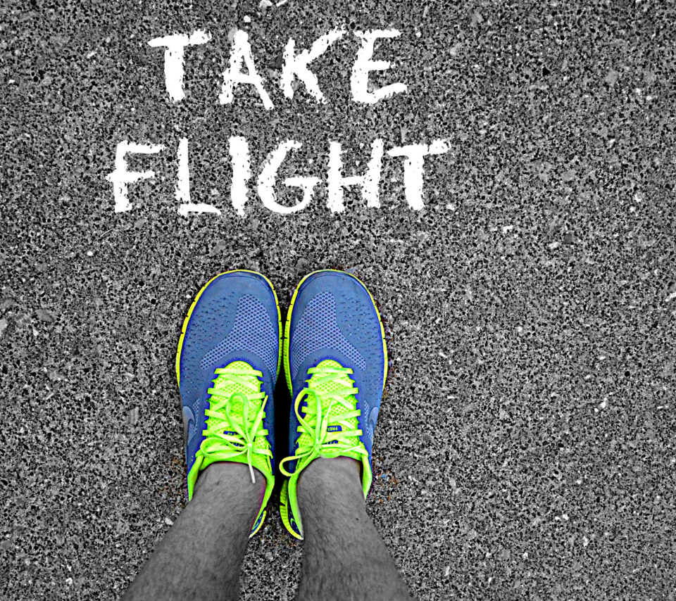 Take Flight wallpaper 960x854