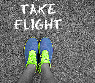 Take Flight - Obrázkek zdarma pro iPad Air