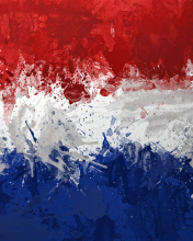 Обои Netherlands Flag 176x220
