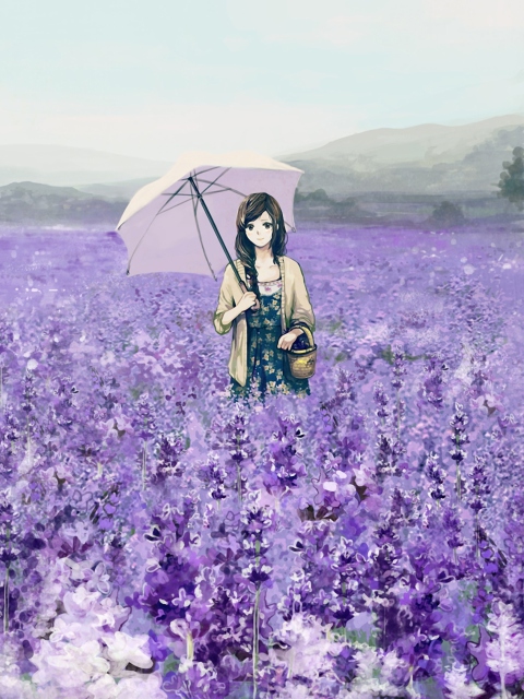 Girl With Umbrella In Lavender Field wallpaper 480x640