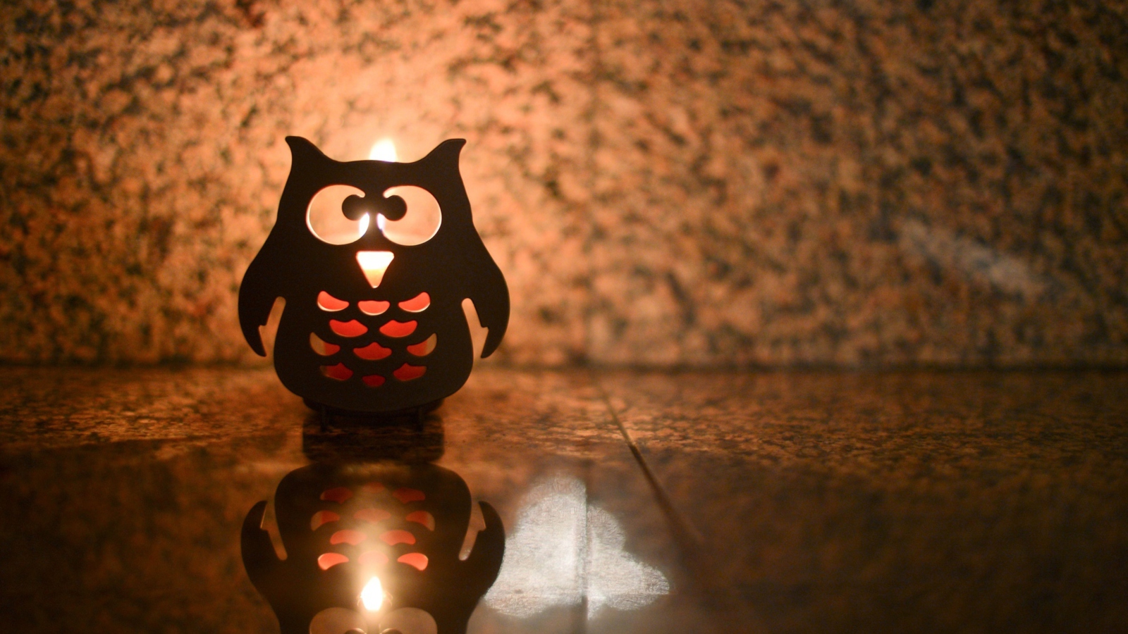 Fondo de pantalla Owl Candle 1600x900