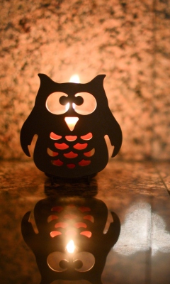 Fondo de pantalla Owl Candle 240x400