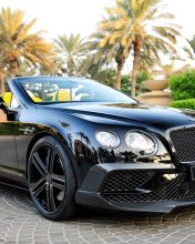 Das Bentley Continental GT Wallpaper 176x220