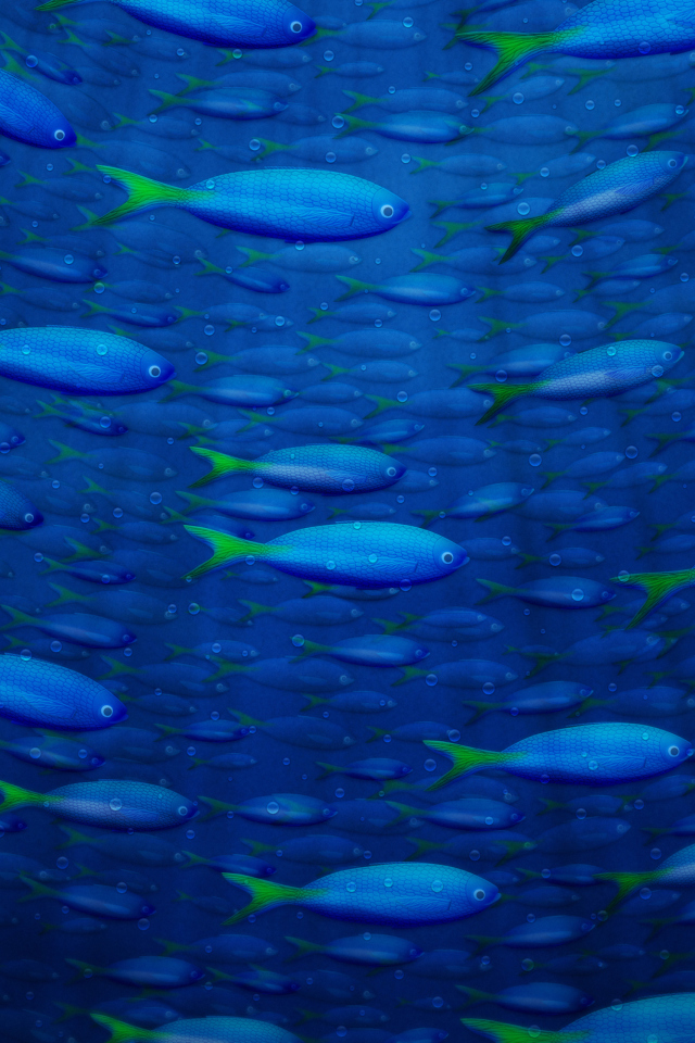 Fondo de pantalla Plenty Of Fish In Sea 640x960