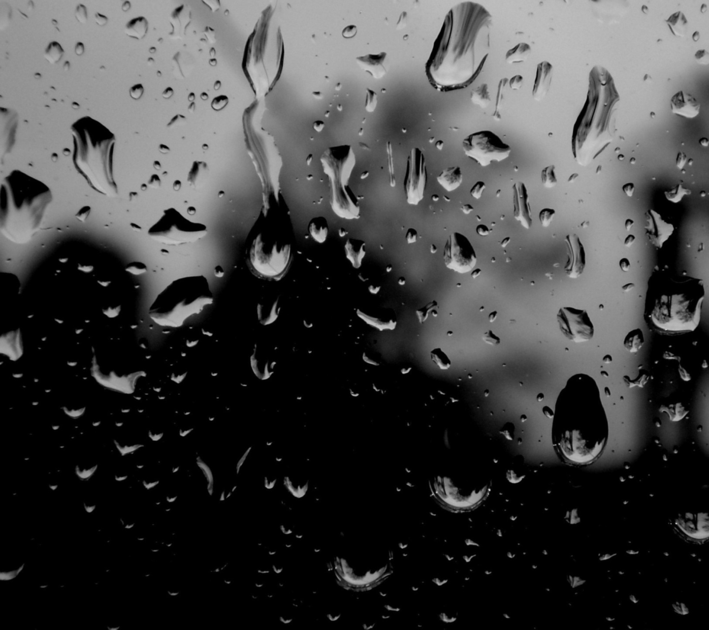 Dark Rainy Day wallpaper 1440x1280