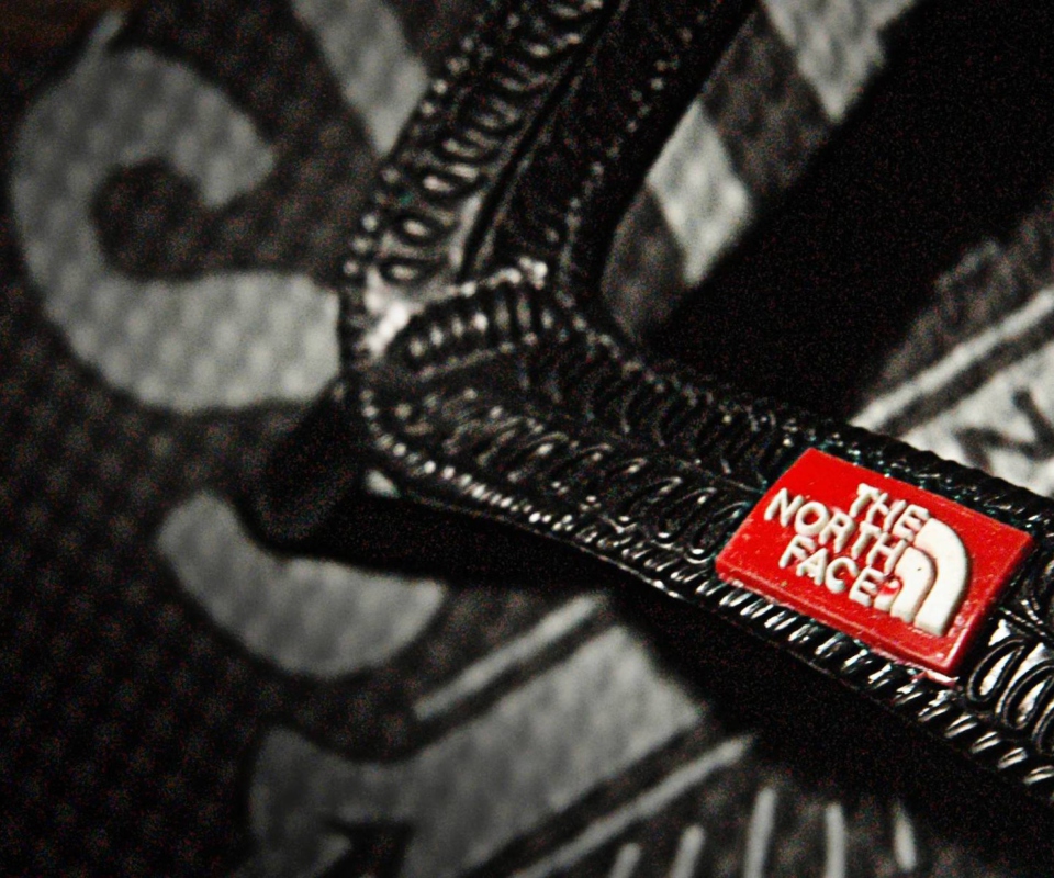 Logo North Face screenshot #1 960x800