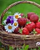 Berries And Flowers wallpaper 128x160