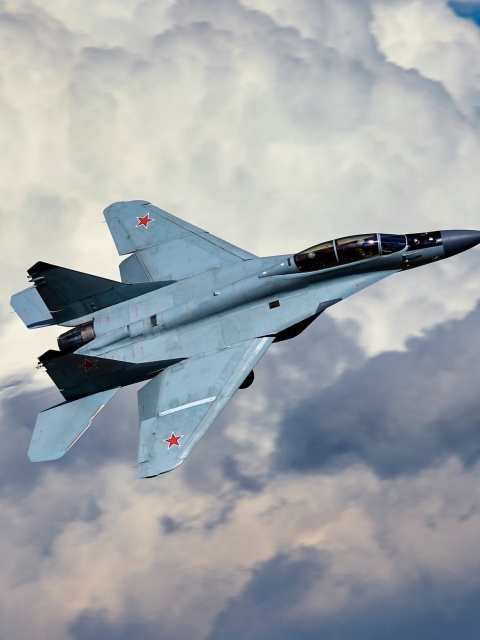 Das Mikoyan MiG 29 Wallpaper 480x640