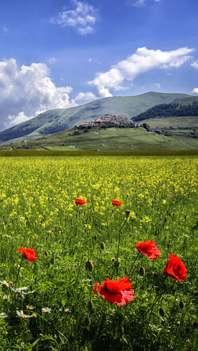 Обои Poppy Meadow HDR 640x1136