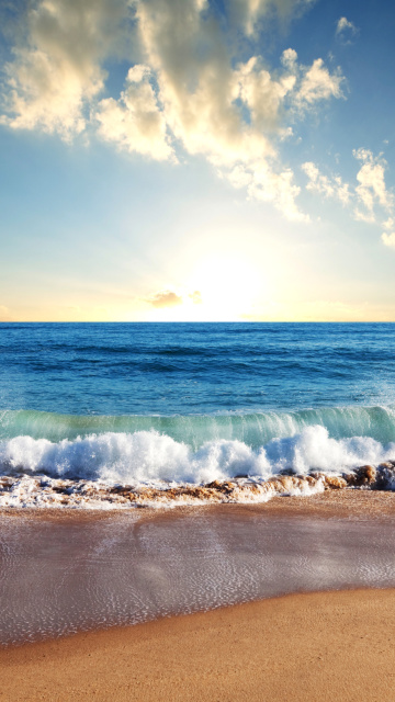 Beach and Waves wallpaper 360x640